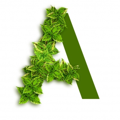 abeceda kompostiranja A